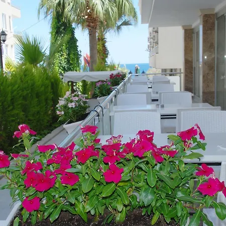 Palm Beach 3*
