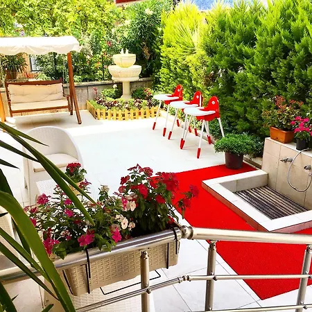 Hotel Palm Beach 3*